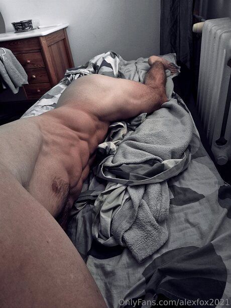 Alexfox2021 erotic model picture