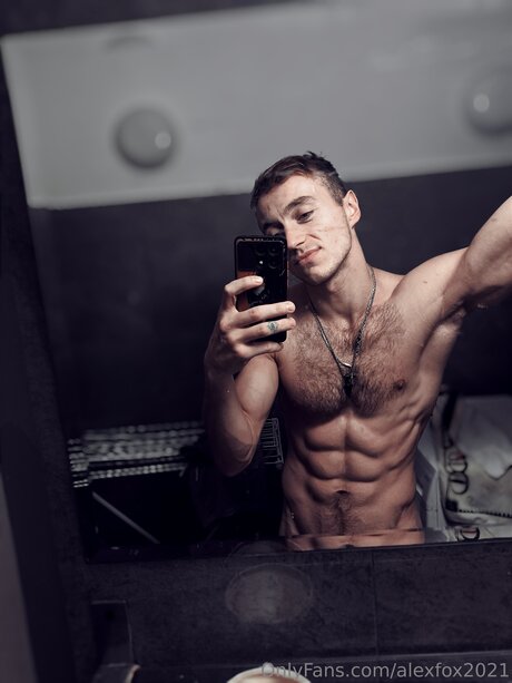 Alexfox2021 star best image