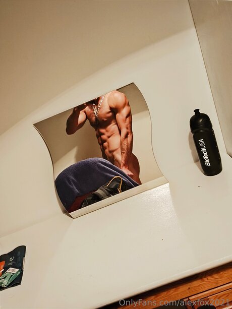 Alexfox2021 pornstar hd pics