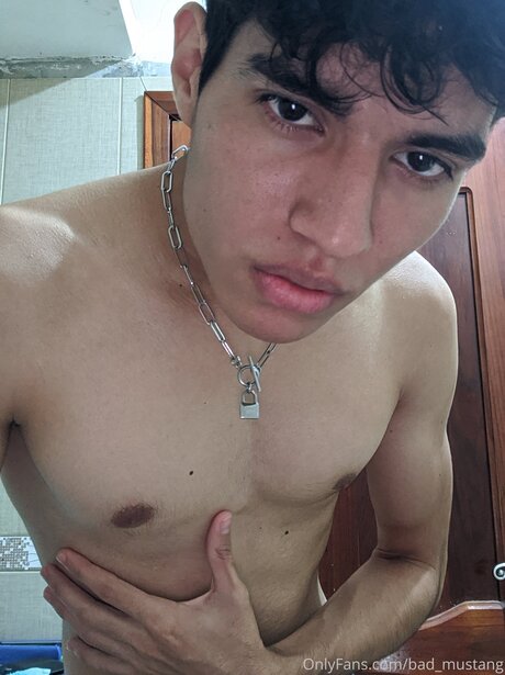 Bad Mustang best pornstar image