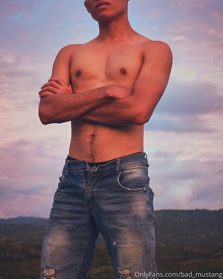 Bad Mustang model beautiful pic