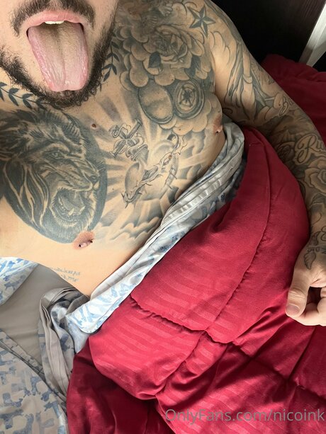 Nicoink xxx star images