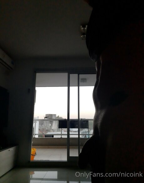 Nicoink adult actress pics