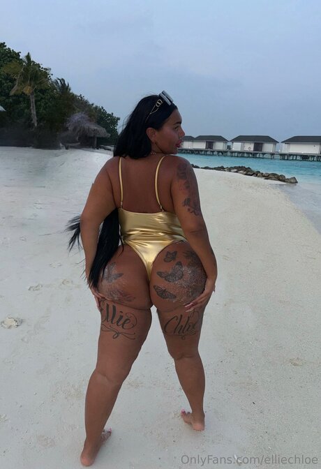 Elliechloe pornstar best img