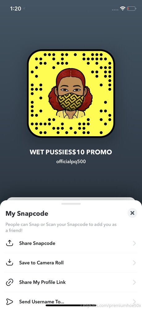 Premiumhoe50x high quality model pic