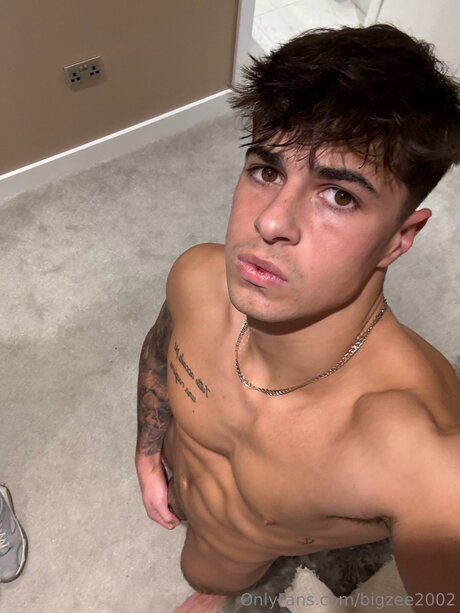 Bigzee2002 best star galleries