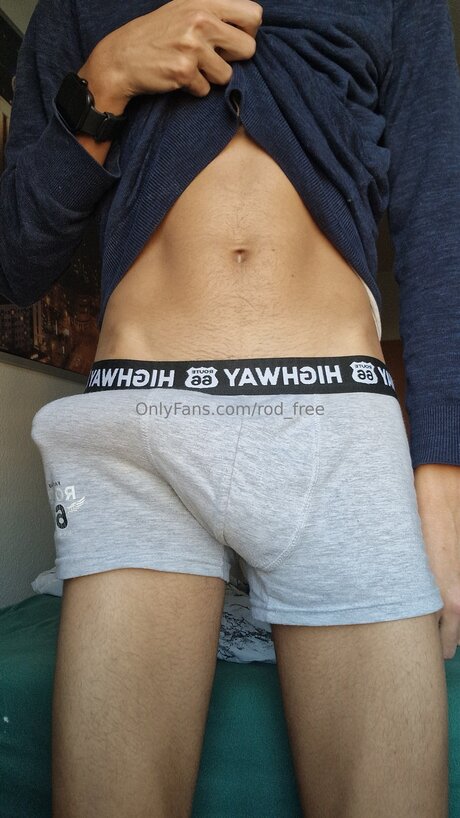 Rod Free star pornographic picture