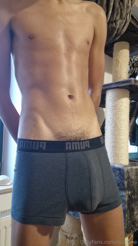 Rod Free sexy star img