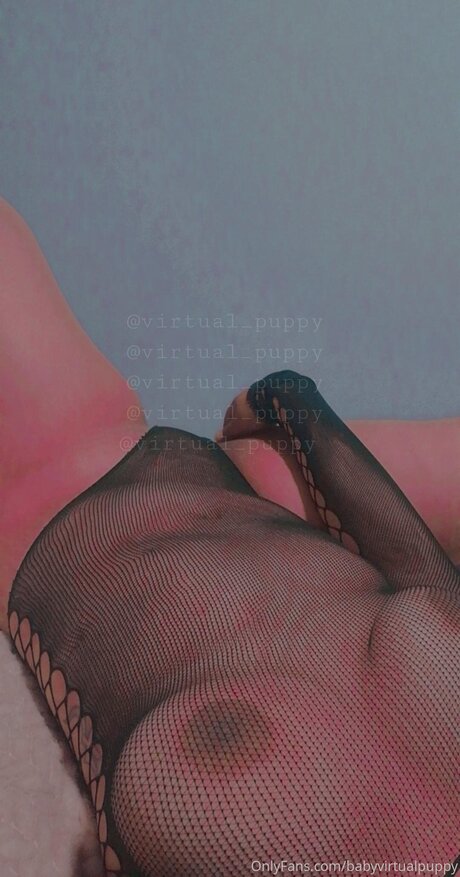 Babyvirtualpuppy perfect star galleries