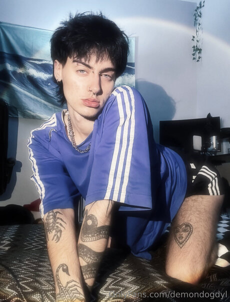 Demondogdyl nice star photo