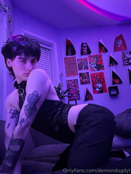 Demondogdyl top star pic