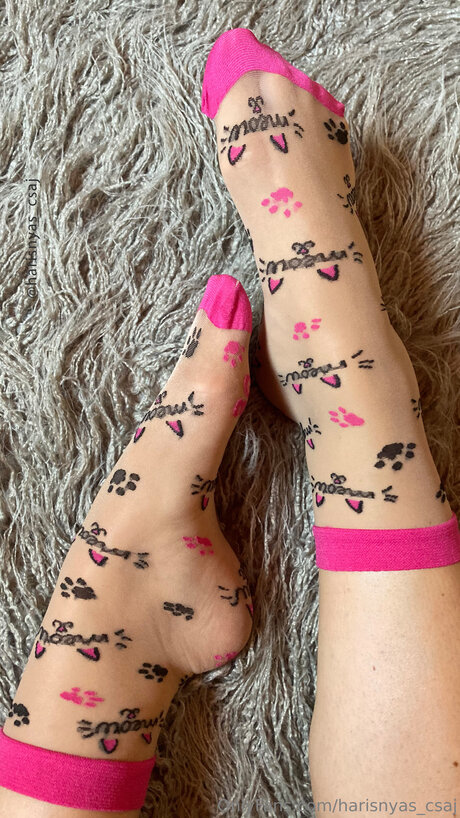 Harisnyas Csaj naked pornstar image