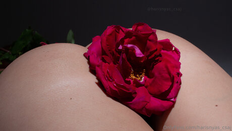 Harisnyas Csaj nice actress picture