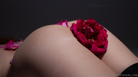 Harisnyas Csaj pornstar adult gallery