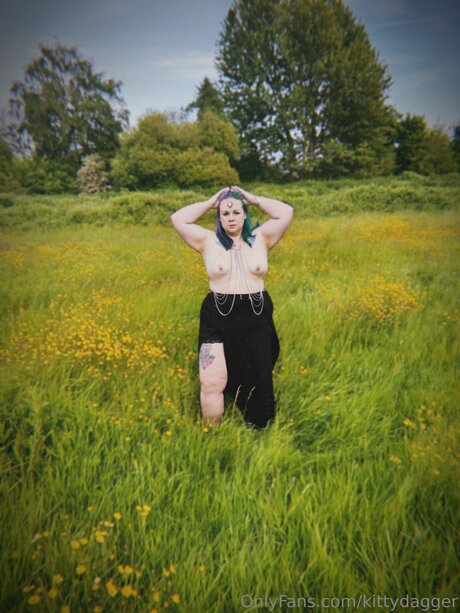 Kittydagger star adult img