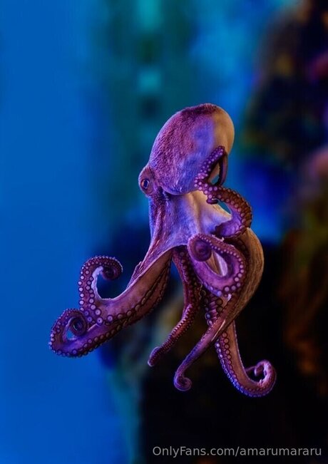 Amarumararu pornstar pretty pic