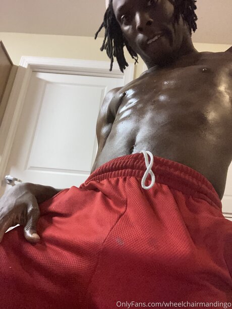 Wheelchairmandingo sex model photos