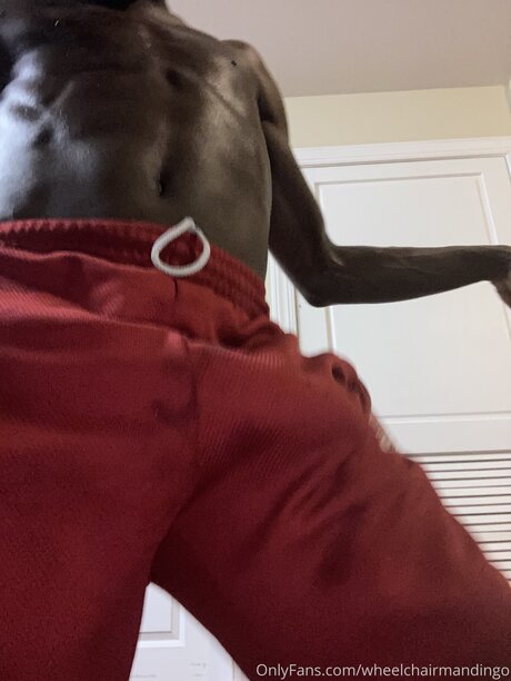 Wheelchairmandingo perfect pornstar image