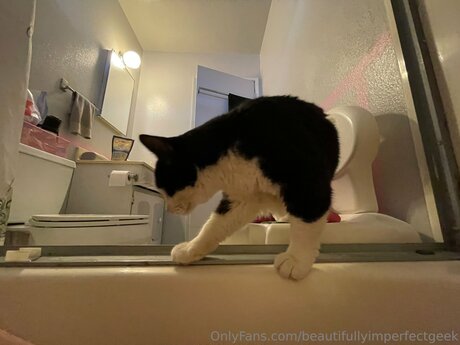 hairy pregnant onlyfans beautiful xxx pic