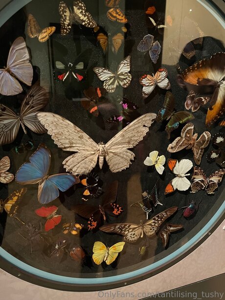 Tantilising Tushy star xxx pics