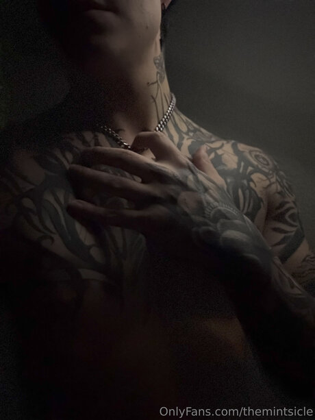 Themintsicle model high quality images