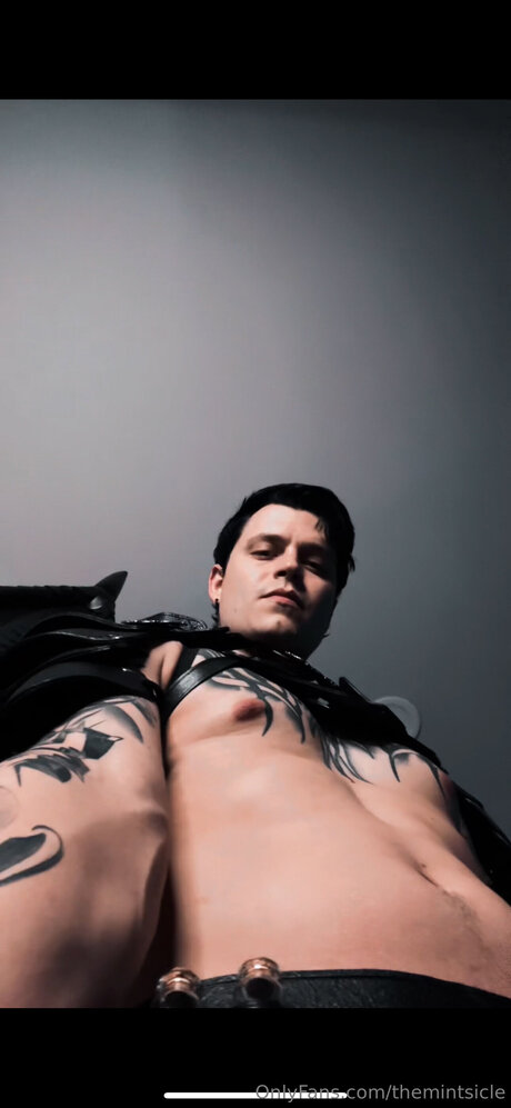 Themintsicle erotic pornstar img