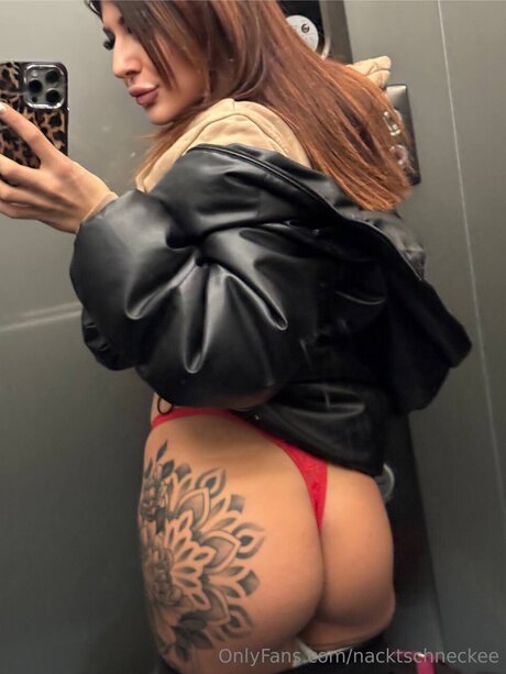 Nacktschneckee star high quality photos