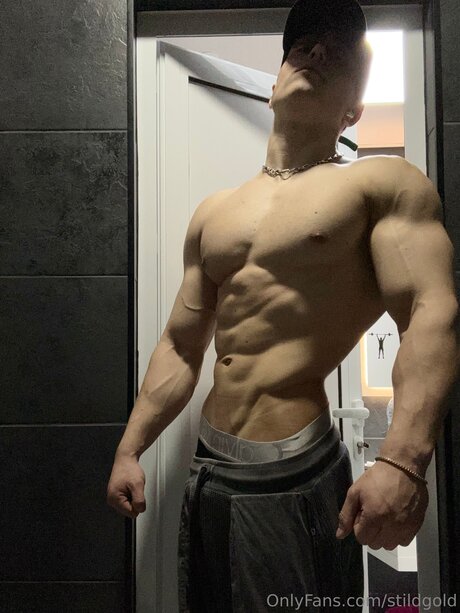 Stildgold xxx actress photo