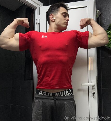 Stildgold star exclusive archive