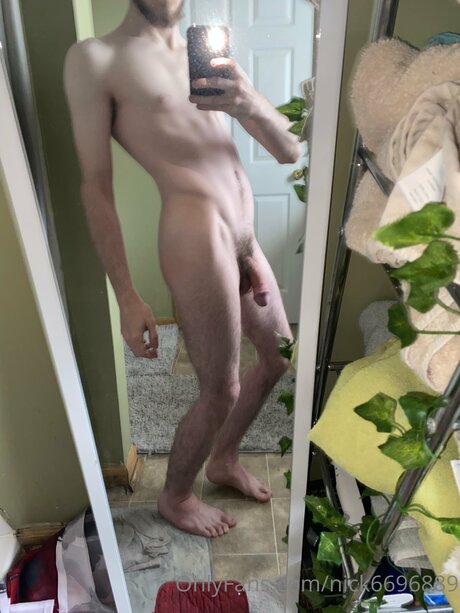 Nick6696889 star art galleries