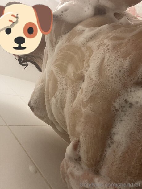 Sharkfrot star pornographic picture