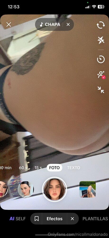 Nicollmaldonado best model archive