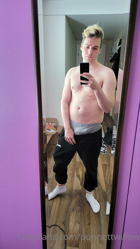 Punnettwillow star high quality archive