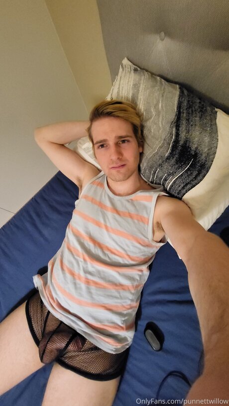 Punnettwillow pornstar free pictures