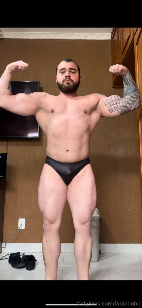 Fabinhobb model perfect img