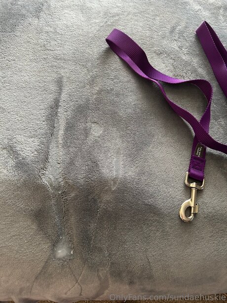 Sundaehuskie pornstar top picture