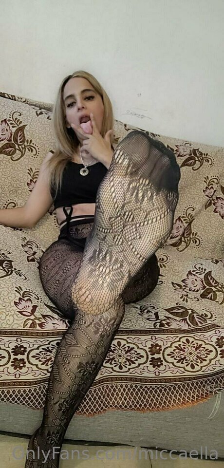 Miccaella star best img