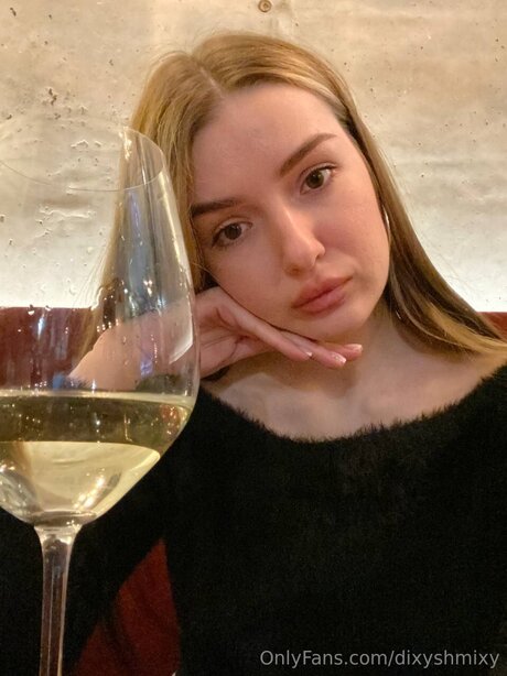 Dixyshmixy model top pic