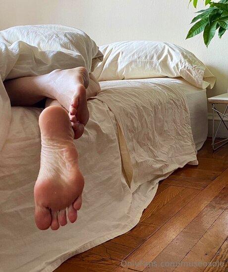 Museosole model photos