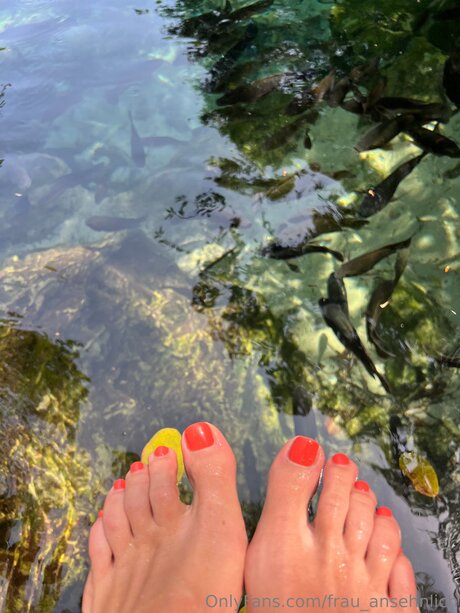 Frau Ansehnlich pornstar exclusive image