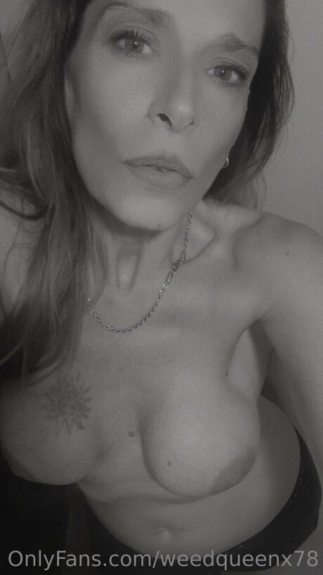 The78megahertz hd star archive