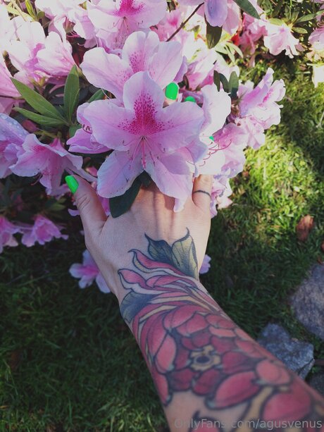 Agusvenus porn actress pictures