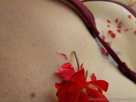 Agusvenus star nudes archive