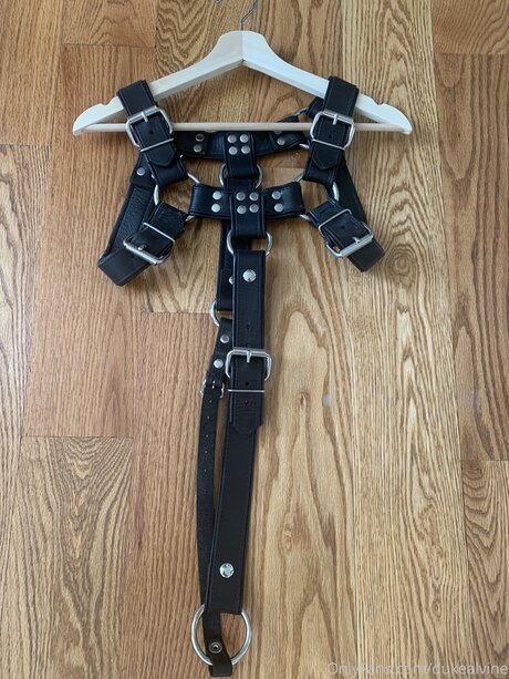 Dukealvine high quality model picture