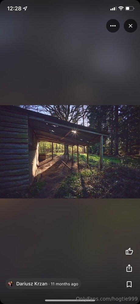 Hogtie999 model nudes image