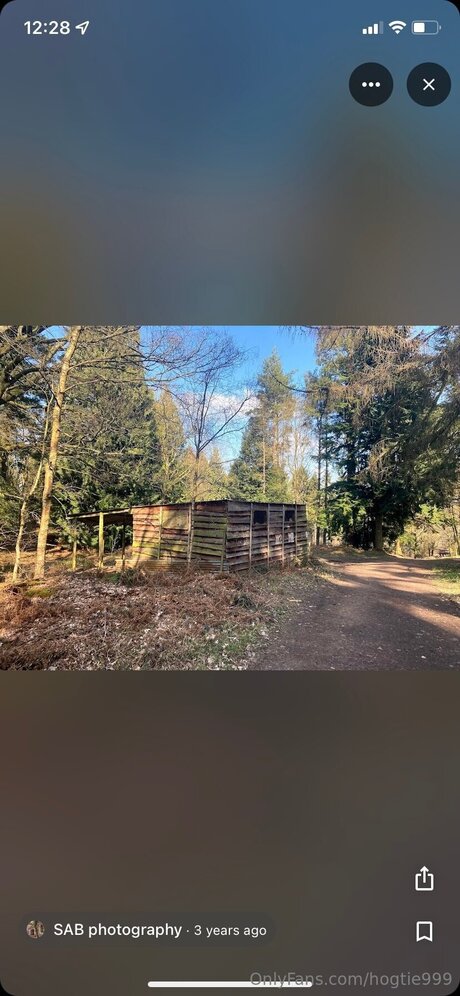 Hogtie999 pornstar perfect pics