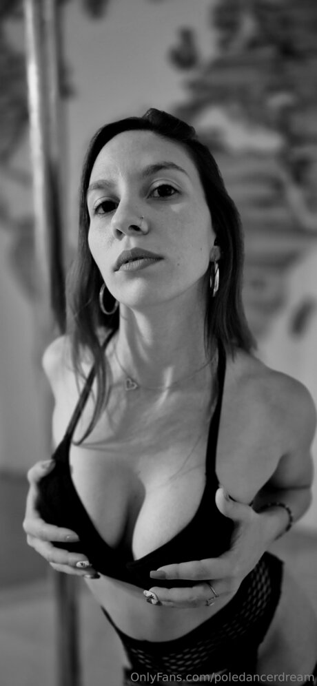 Poledancerdream art pornstar images