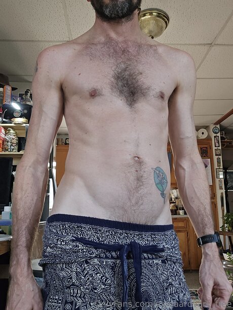 Avidaardvark Free high quality star pic