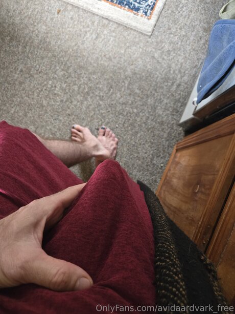 Avidaardvark Free free pornstar image