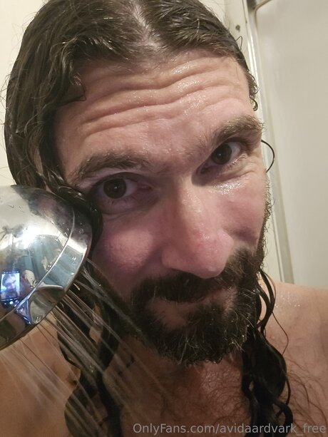 Avidaardvark Free pretty star img